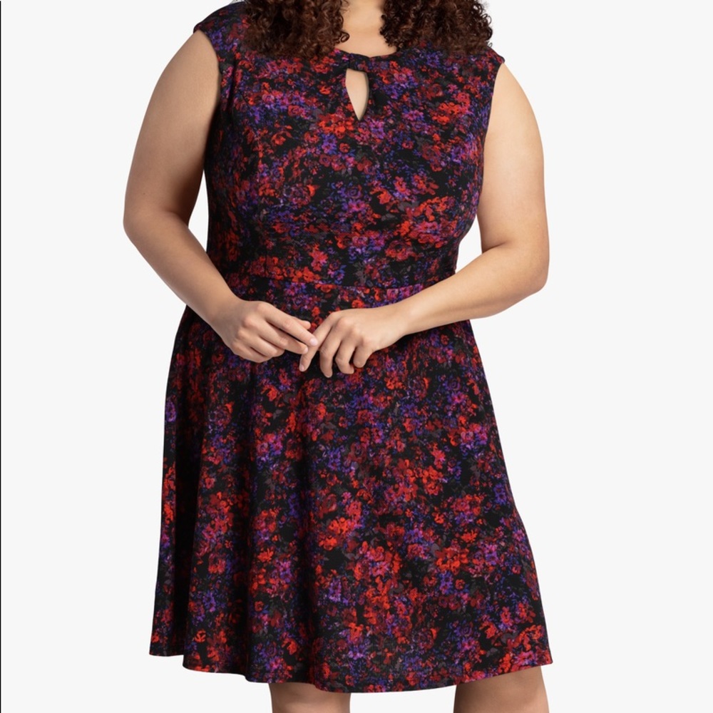 Sabrina Collective Cap Sleeve Fit and Flare Dress